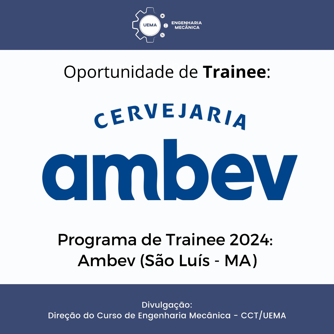 Programa de Trainee AMBEV 2024